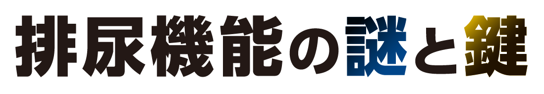 テーマ：排尿機能の謎と鍵