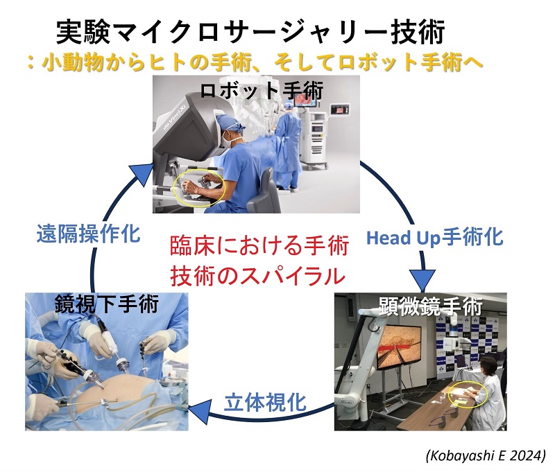 ISEM 2025 Kanazawa - 株式会社コンベンションリンケージ